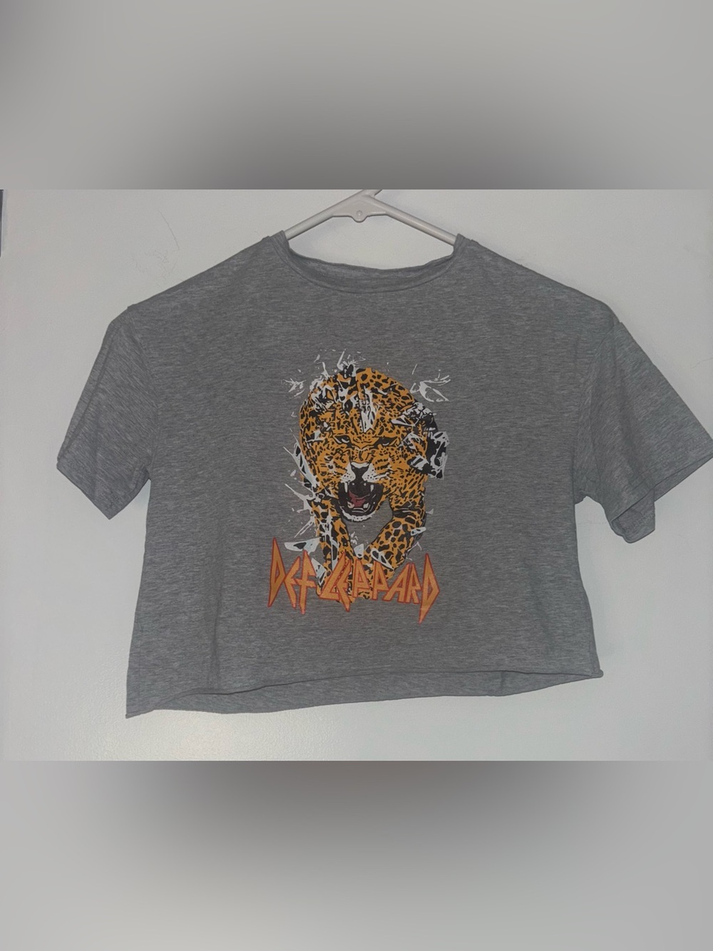 Grey Kids Graphic Tee with Def Leopard Print